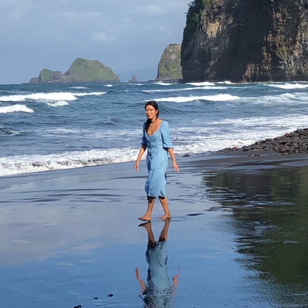 ZARA Denim Dress